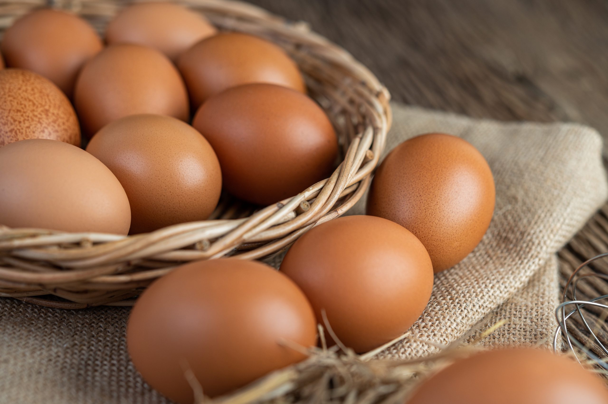 پروتئین سفیده تخم مرغ